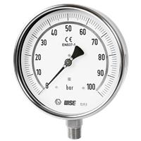 Test Pressure Gauge P229 Series